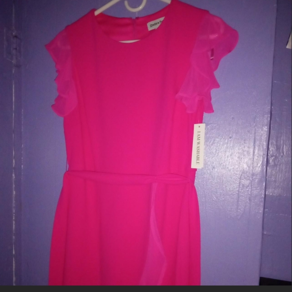 Elegant Pink Ruffle Dress - Picture 9 of 9